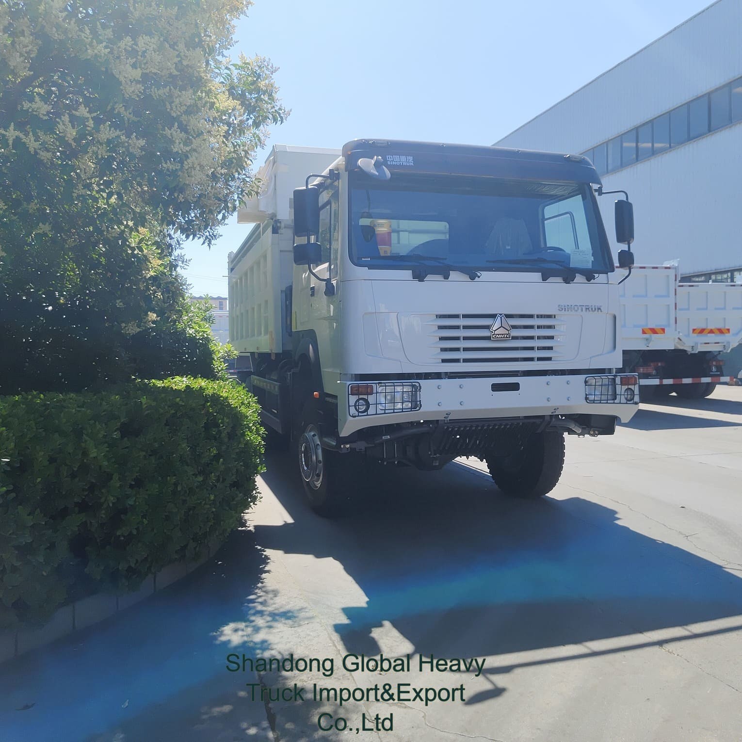 सिनोट्रक HOWO 6X4 371HP 380HP 8X4 400HP डंपर टिपर टिपिंग डीजल सिनोट्रक